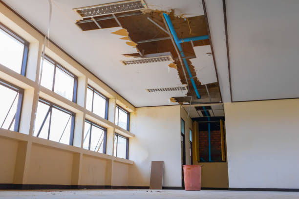 Best Water damage restoration company  in St Francisville, LA