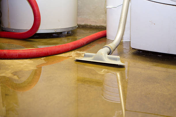 Best 24/7 water damage repair  in St Francisville, LA