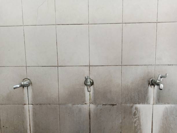 Best Mold removal after water damage  in St Francisville, LA