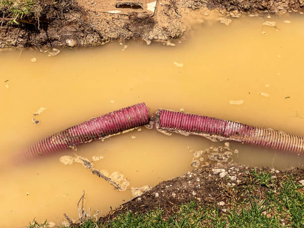 Best Carpet water damage restoration  in St Francisville, LA