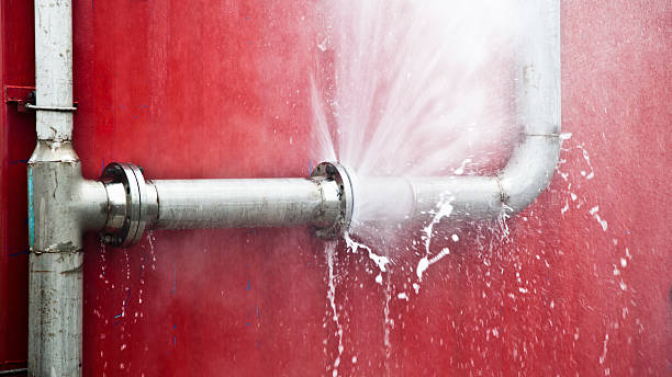 Best Water damage restoration insurance claims  in St Francisville, LA